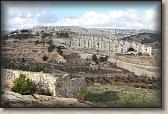 IMG_6586