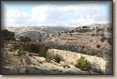 IMG_6587