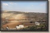 IMG_6589