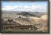 IMG_6590