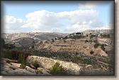IMG_6592