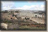 IMG_6593