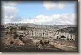 IMG_6594