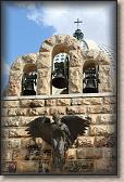 IMG_6605