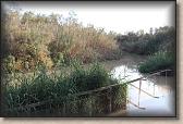 IMG_6636