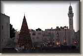 IMG_7717