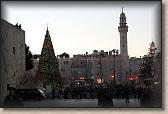 IMG_7719