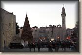 IMG_7724