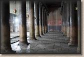 IMG_7769