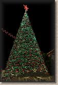 IMG_8054