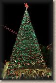 IMG_8055
