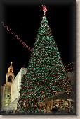 IMG_8059