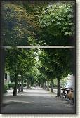 DSC04440