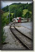 DSC04696