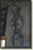 DSC05002