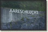 DSC05191