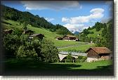 DSC05201