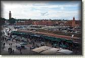 DSC07087