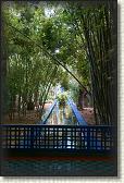 DSC07130