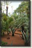 DSC07184