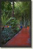 DSC07199