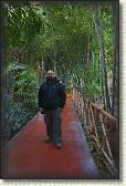 DSC07201
