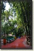 DSC07203