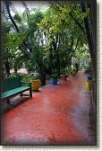 DSC07204