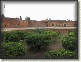IMG_2343