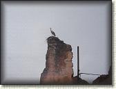 IMG_2350