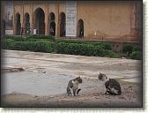 IMG_2363
