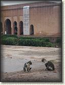 IMG_2364