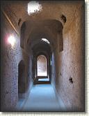 IMG_2368