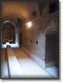 IMG_2371