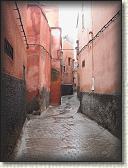 IMG_2397
