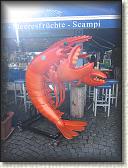 IMG_1912