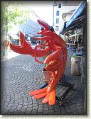 IMG_1913