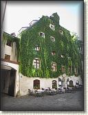 IMG_1955
