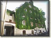 IMG_1956