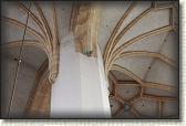 IMG_7811