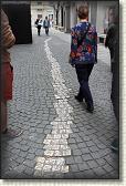 IMG_7845