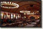 IMG_7918
