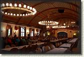 IMG_7919