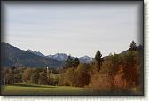 IMG_7974
