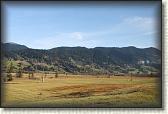 IMG_7977