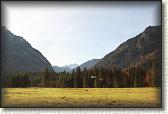IMG_7981
