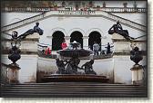 IMG_8007