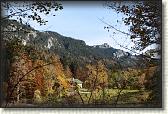 IMG_8054
