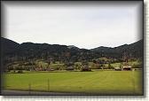 IMG_8081