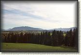 IMG_8088